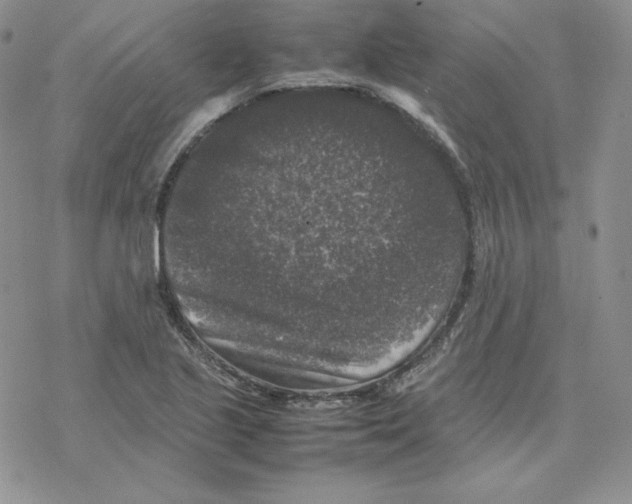 X0000077291221200611171619