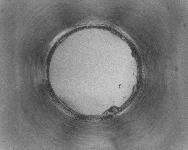 X0000077291222200611171619