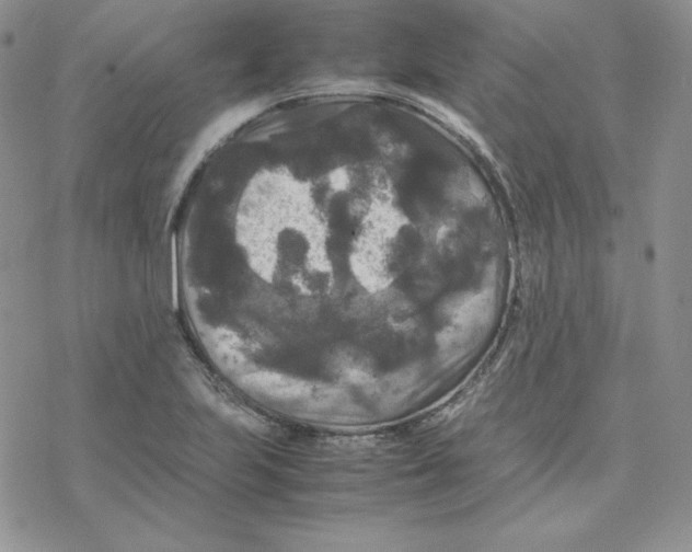 X0000077291223200611171619