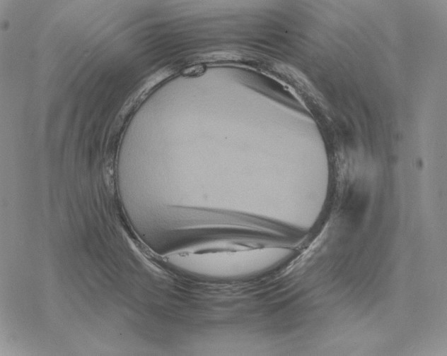 X0000077291225200611171619