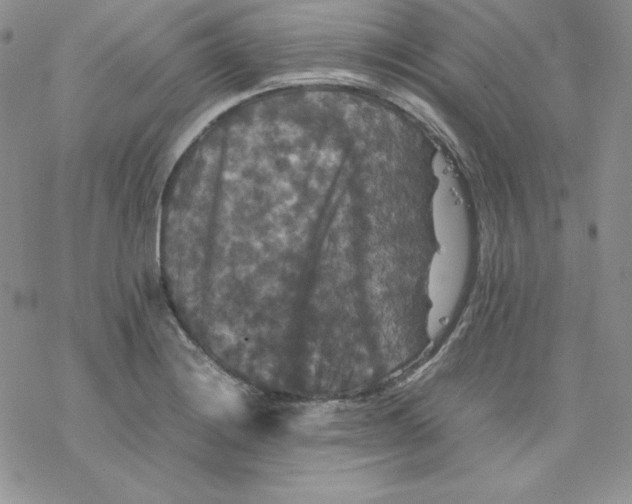 X0000077291228200611171619