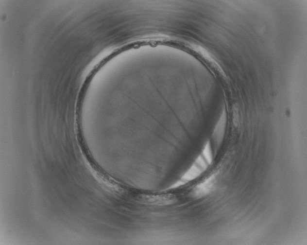 X0000077291229200611171619