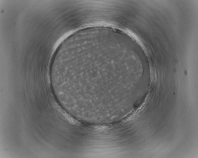 X0000077291230200611171619