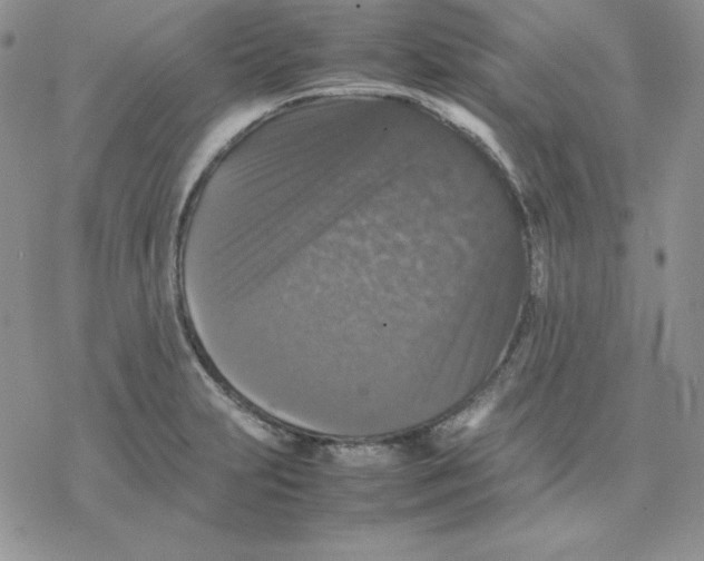 X0000077291231200611171619