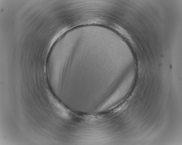 X0000077291234200611171619