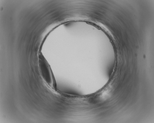 X0000077291238200611171619