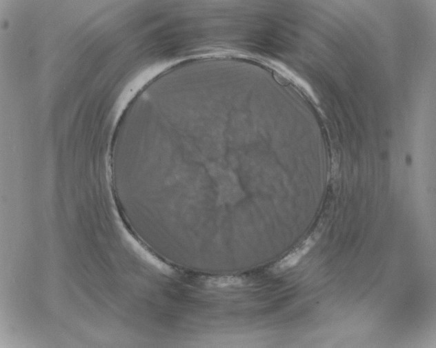 X0000077291239200611171619