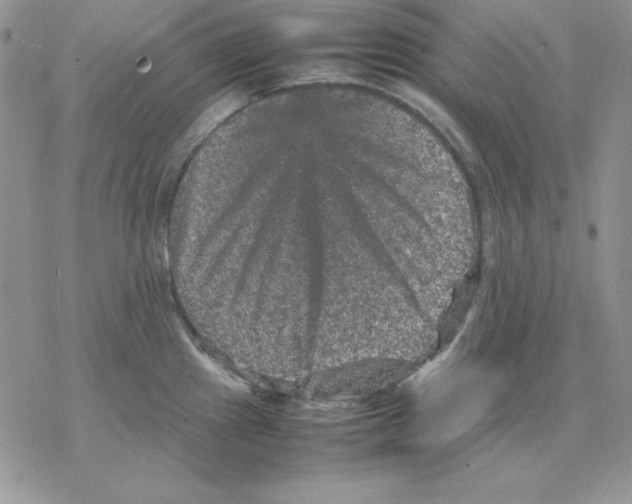 X0000077291241200611171619