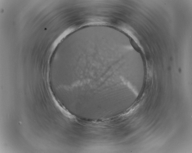 X0000077291245200611171619