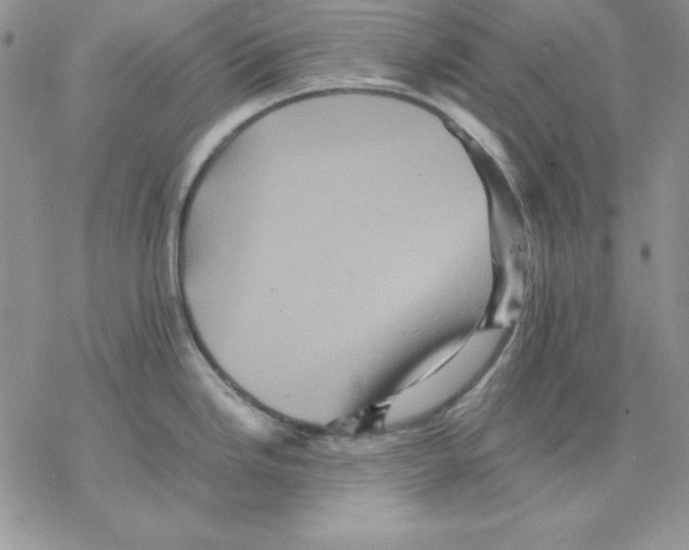 X0000077291246200611171619