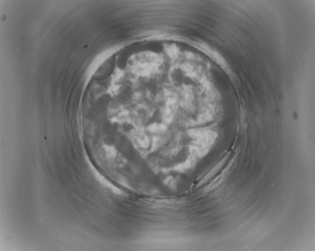 X0000077291247200611171619