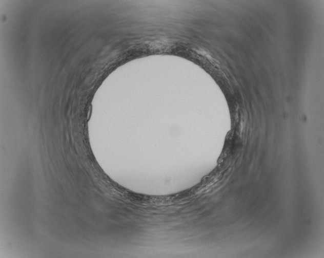 X0000077291249200611171618