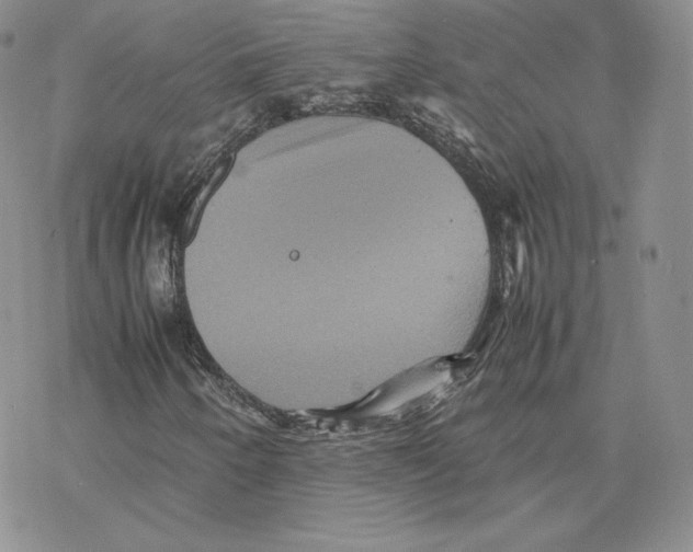 X0000077291250200611171618