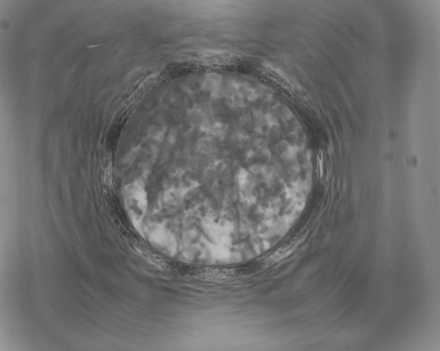 X0000077291251200611171618