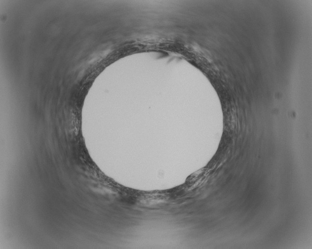 X0000077291253200611171618