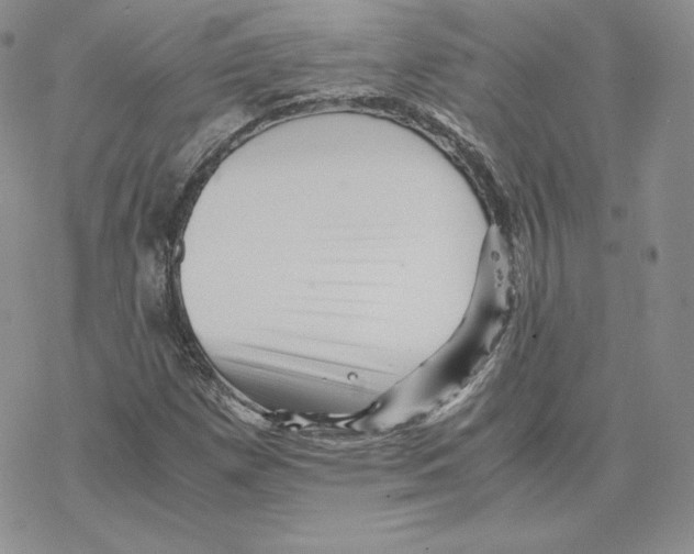 X0000077291257200611171618