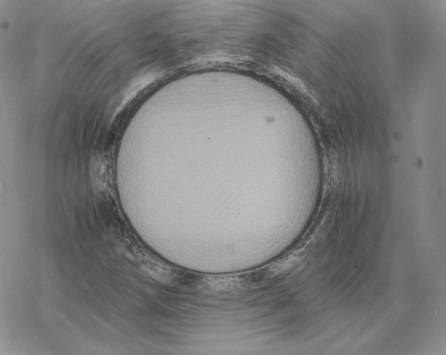 X0000077291258200611171618