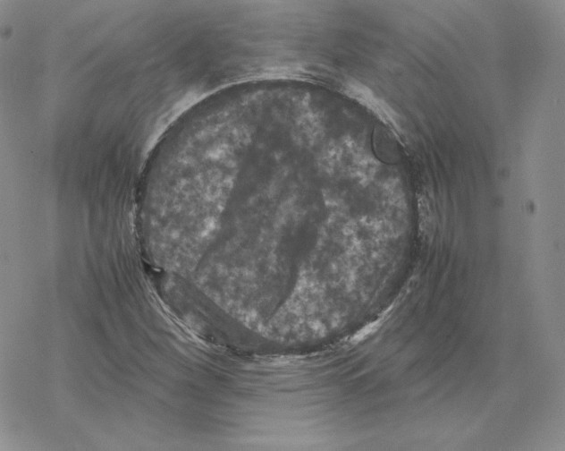 X0000077291260200611171618