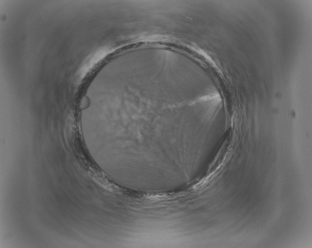 X0000077291263200611171618