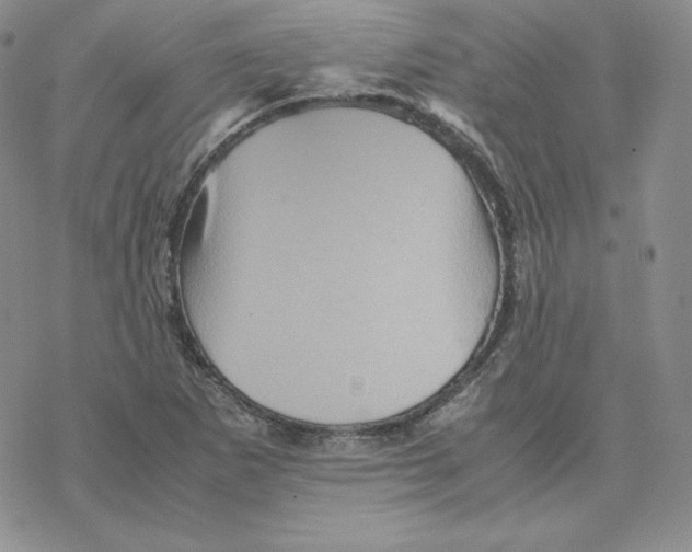 X0000077291265200611171618