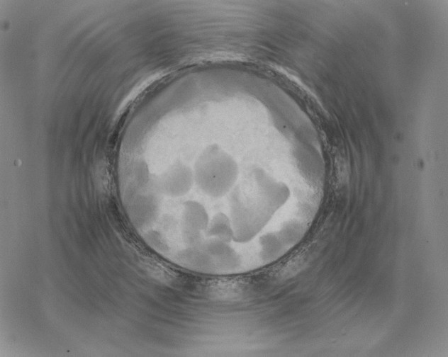 X0000077291266200611171618