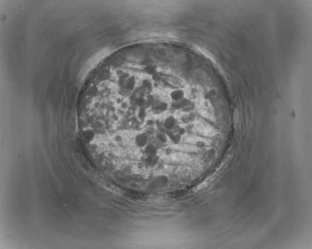 X0000077291267200611171618