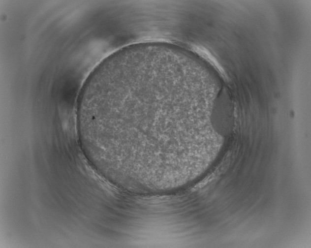 X0000077291268200611171618