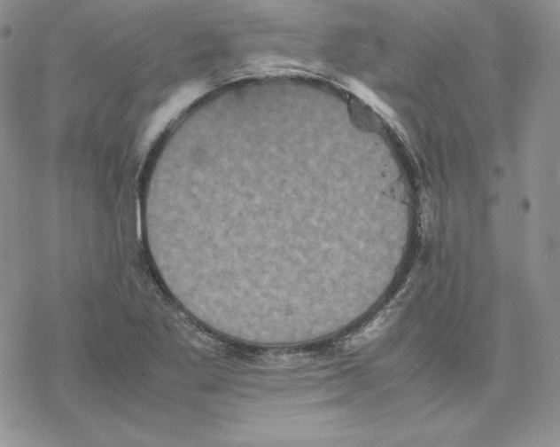 X0000077291269200611171618