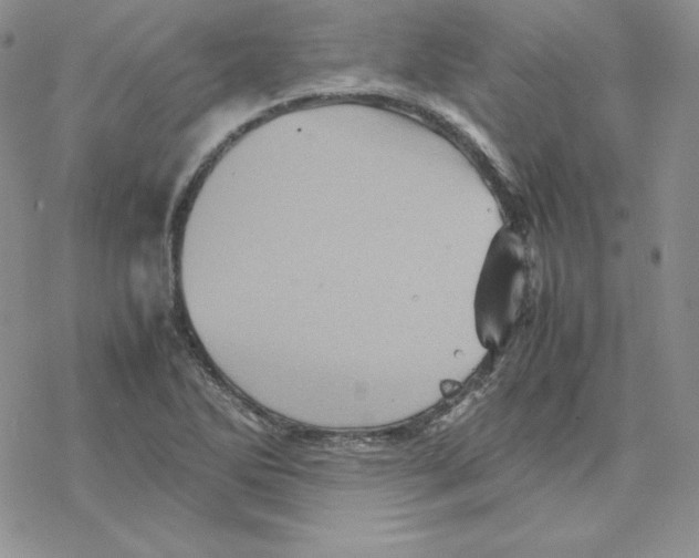 X0000077291270200611171618