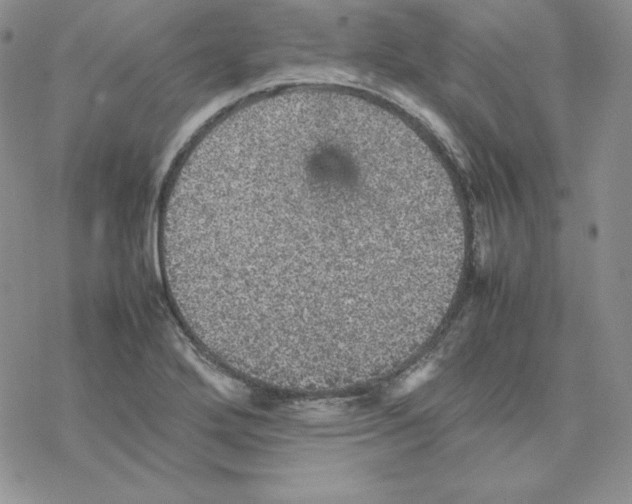 X0000077291272200611171618