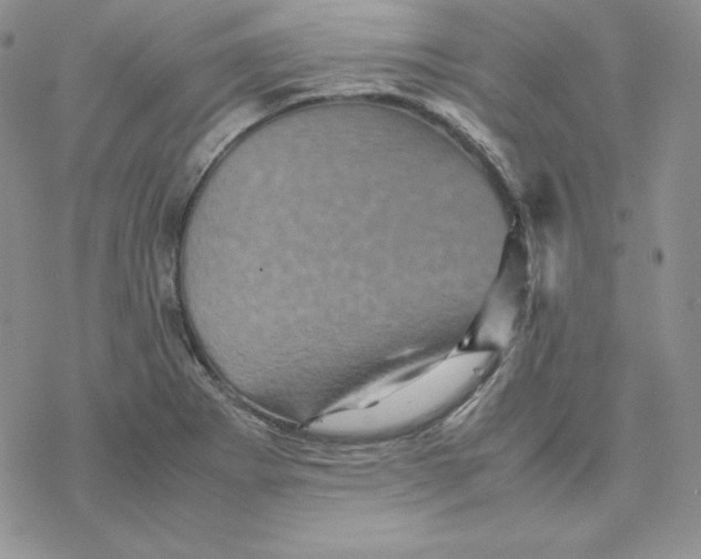 X0000077291273200611171618