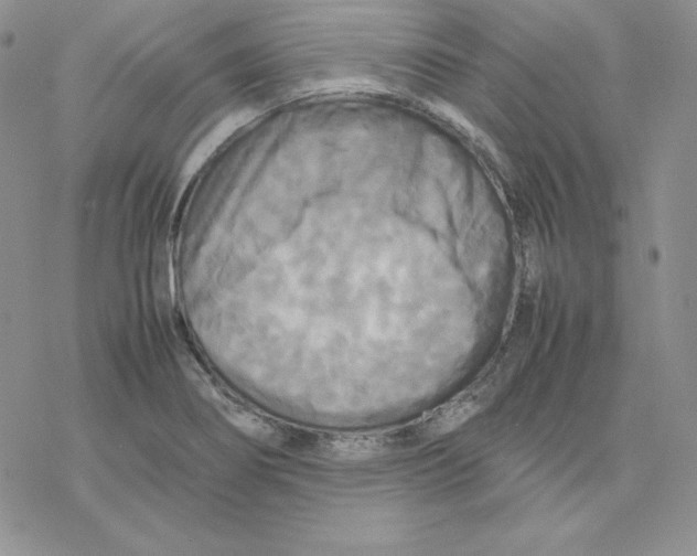 X0000077291274200611171618