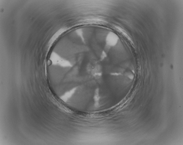 X0000077291275200611171618