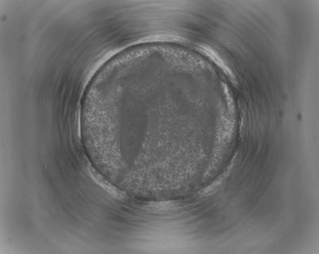 X0000077291276200611171618