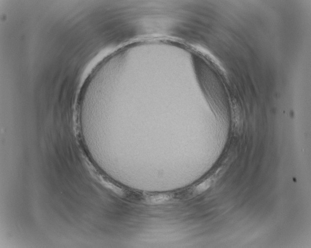 X0000077291278200611171618