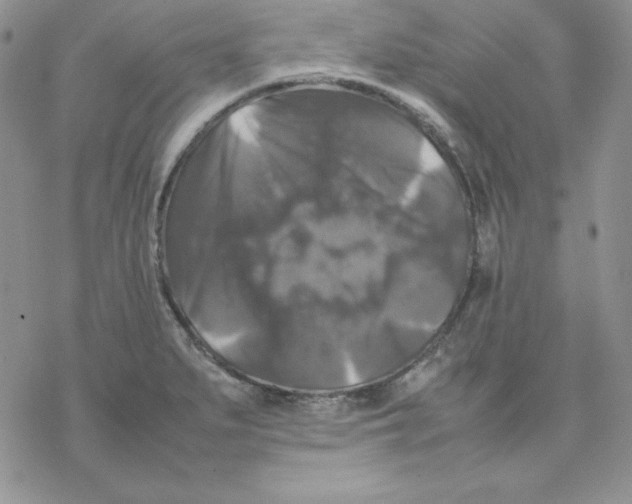 X0000077291279200611171618