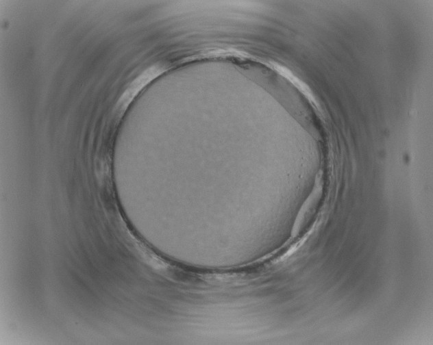 X0000077291281200611171618