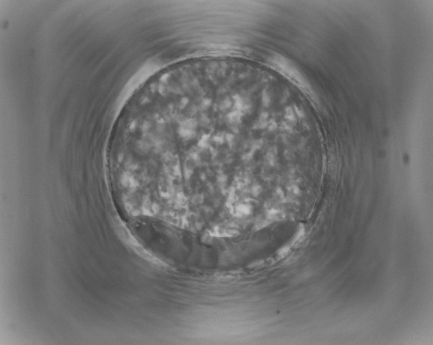 X0000077291283200611171618