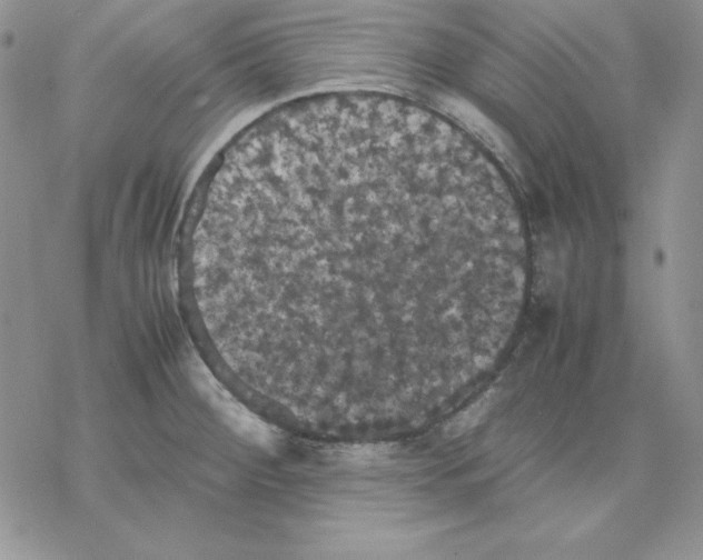 X0000077291284200611171618