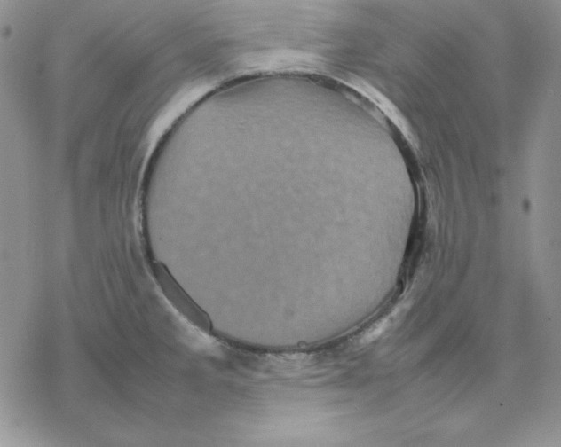 X0000077291285200611171618