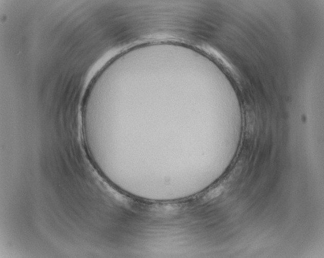 X0000077291286200611171618