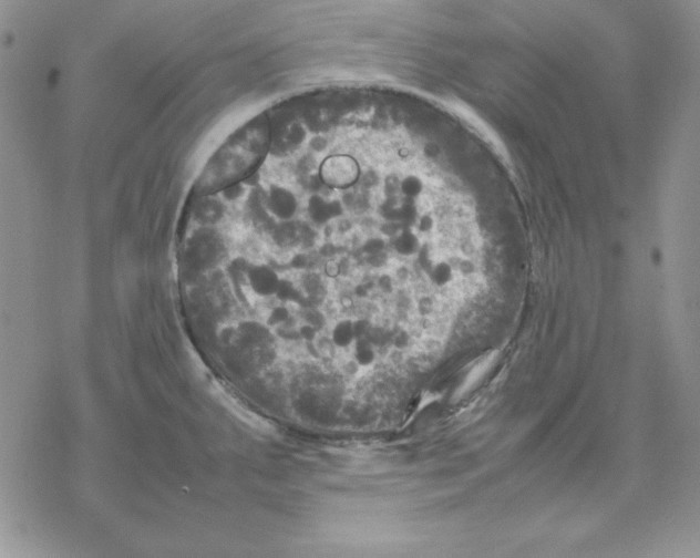 X0000077291287200611171618