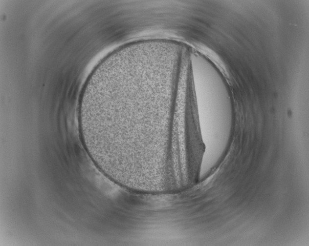 X0000077291288200611171618