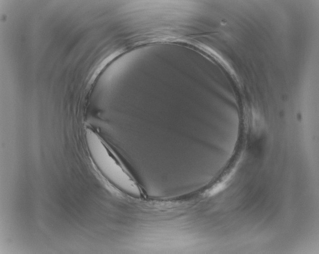 X0000077291289200611171618