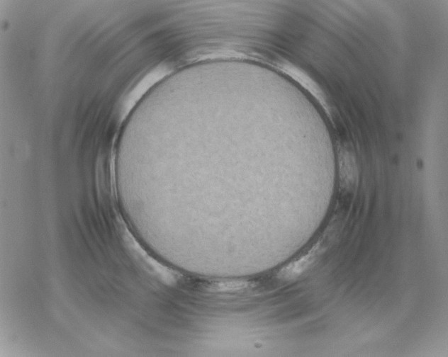 X0000077291290200611171618