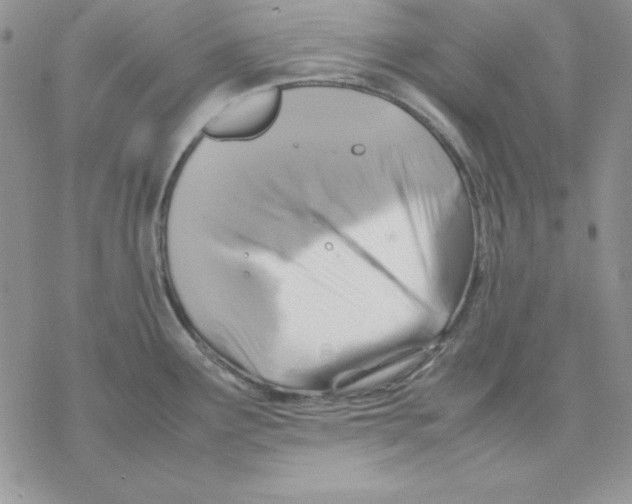 X0000077291291200611171618