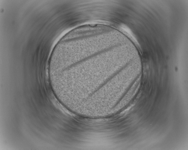 X0000077291292200611171618