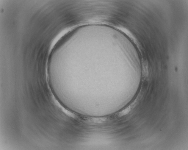 X0000077291294200611171618