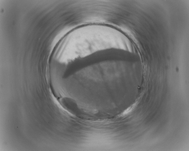 X0000077291295200611171618