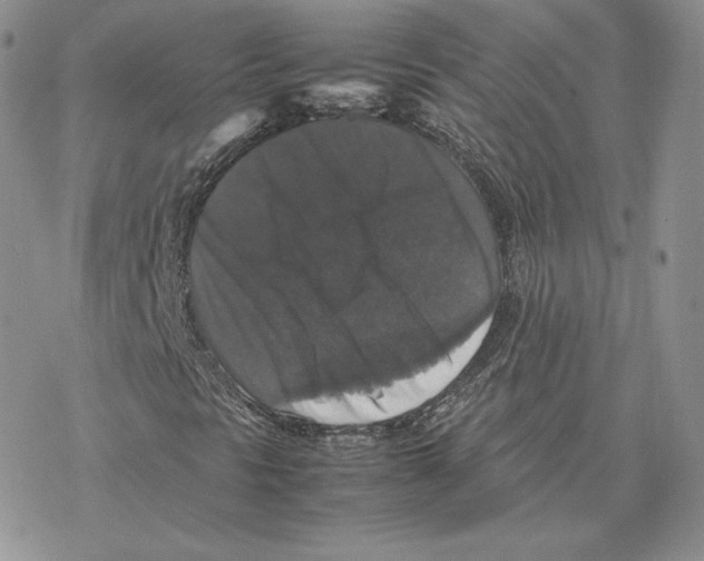 X0000077291297200611171617